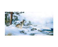 Winter Retreat