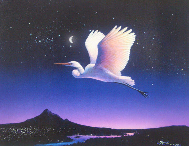 Midinight Flight